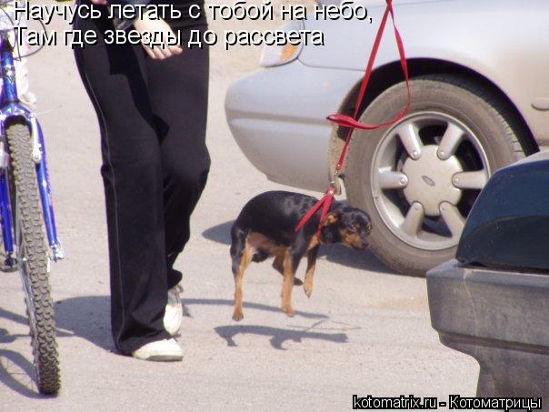 4743317_iH (604x453, 48Kb)