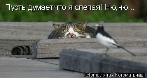 4743317_1Z (504x269, 22Kb)