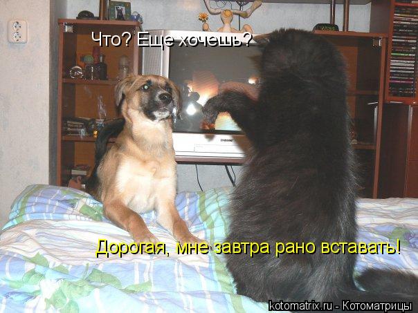 4743317_AP (604x453, 53Kb)
