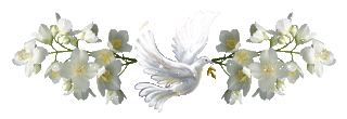 357d6df93c0c72701ba2dcfb84062c2e (1) (320x110, 44Kb)