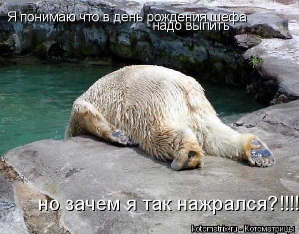 4743317_CV (600x470, 72Kb)