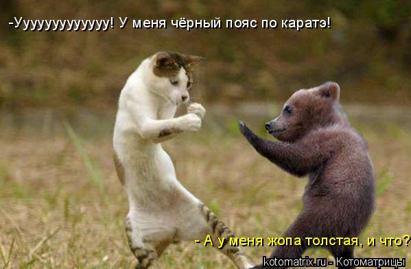 4743317_OE (599x393, 35Kb)