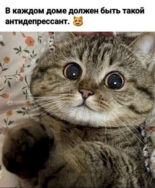 4743317_4e5e14fd (494x600, 79Kb)