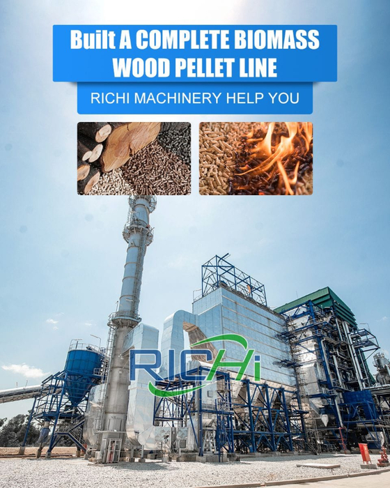 12 tons per hour wood pelleting palnt solution (560x700, 419Kb)