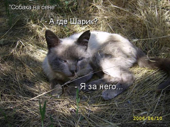 4743317_3P (700x524, 100Kb)