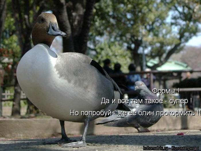 4743317_VC_1_ (700x527, 56Kb)
