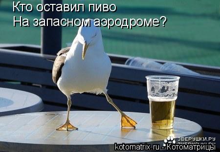 4743317_Px (450x311, 25Kb)