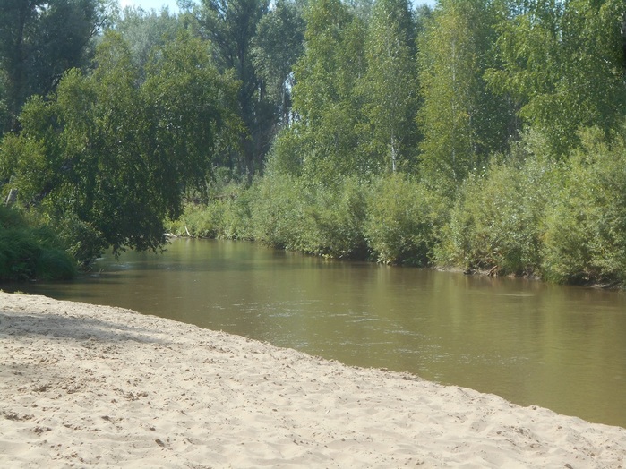 4533467_DSCN4593 (700x524, 168Kb)