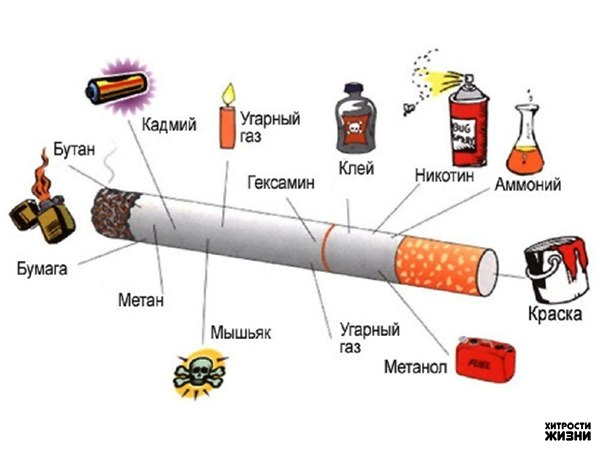 Состав сигареты (600x450, 99Kb)