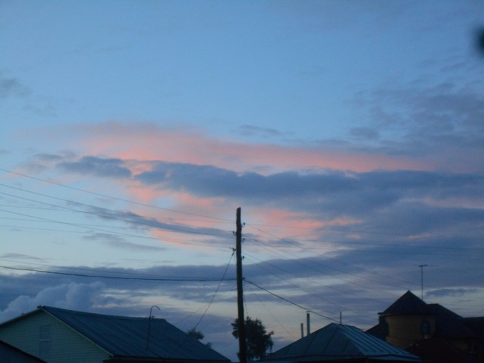 4533467_DSCN4613 (700x524, 66Kb)