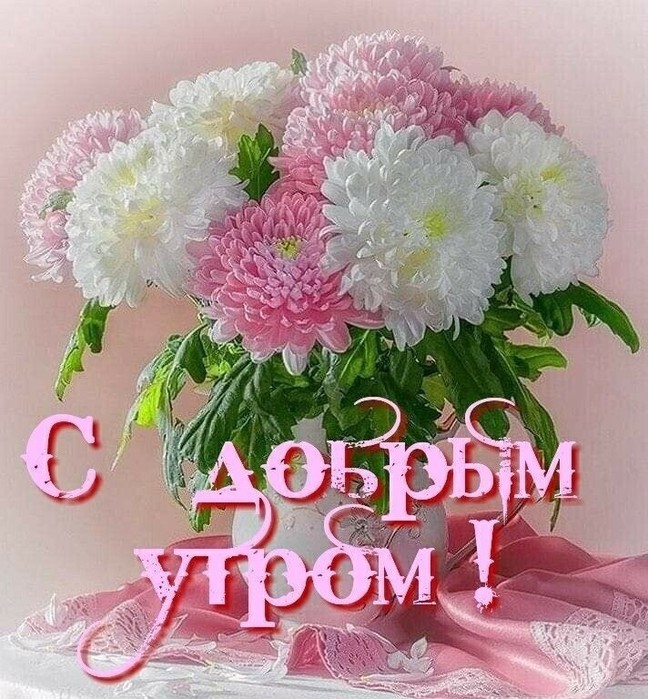 4743317_image20210917_10_13_33 (648x700, 147Kb)
