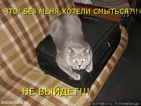 4743317_g (600x450, 48Kb)