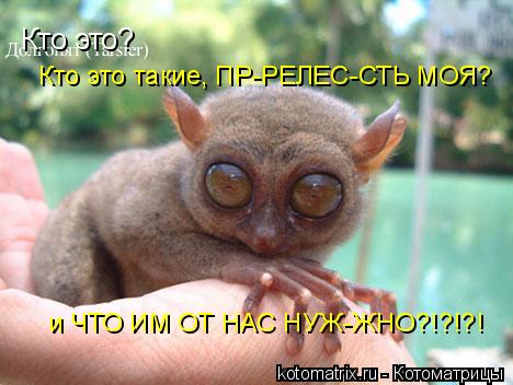 4743317_pK (468x352, 33Kb)
