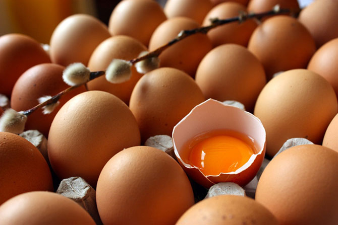 Яйца (670x447, 163Kb)