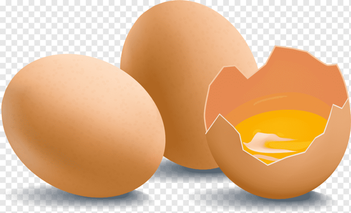 png-transparent-cracked-egg-chicken-egg-yolk-chicken-egg-fresh-eggs-and-broken-egg-food-happy-birthday-vector-images-easter-egg (700x425, 243Kb)