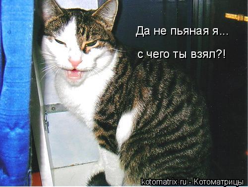 4743317_T (500x378, 40Kb)