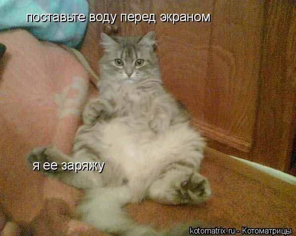 4743317_m (600x480, 50Kb)