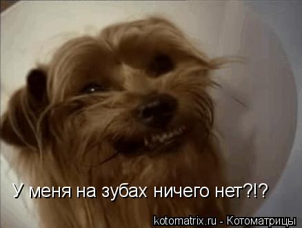 4743317_OS (438x331, 17Kb)