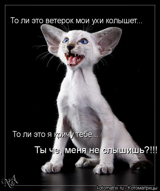 4743317_l0 (546x650, 45Kb)