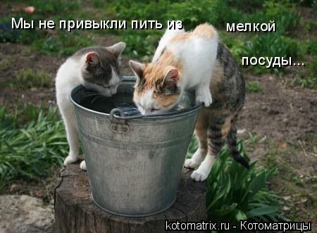 4743317_fo (450x331, 31Kb)