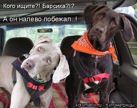 4743317_gh (480x379, 42Kb)
