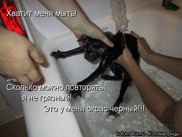 4743317_MD (599x449, 43Kb)