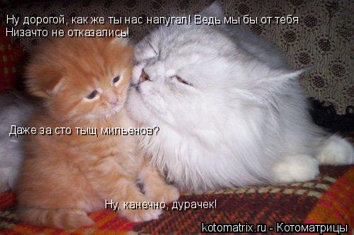4743317_r (500x332, 34Kb)