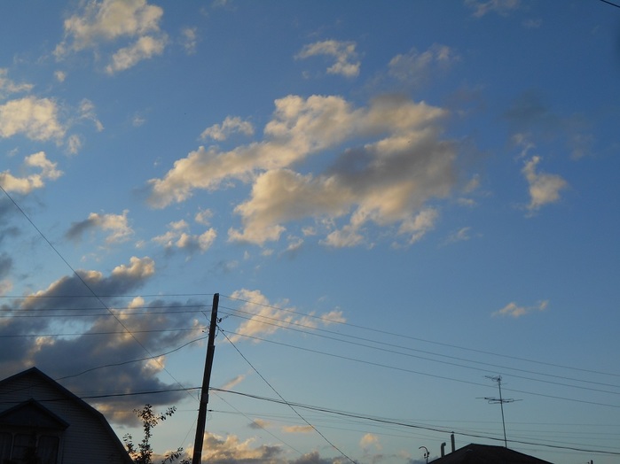 4533467_DSCN4687 (700x524, 71Kb)