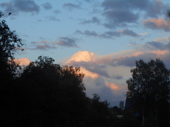 4533467_DSCN4694 (700x524, 78Kb)