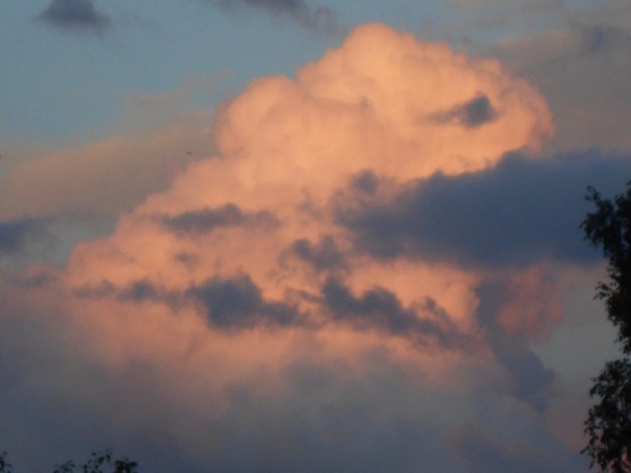 4533467_DSCN4696 (700x524, 74Kb)