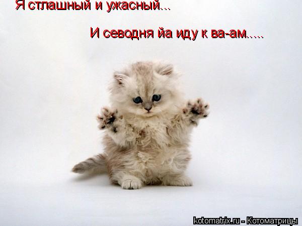 4743317_1X (600x450, 28Kb)