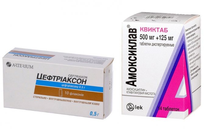 5774028_antibiotik (670x431, 40Kb)