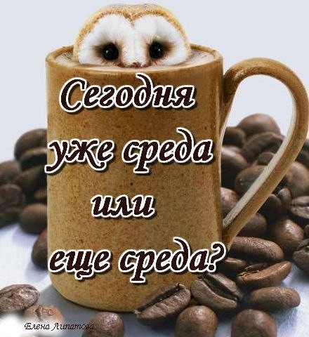 4743317_266c857e (440x480, 57Kb)