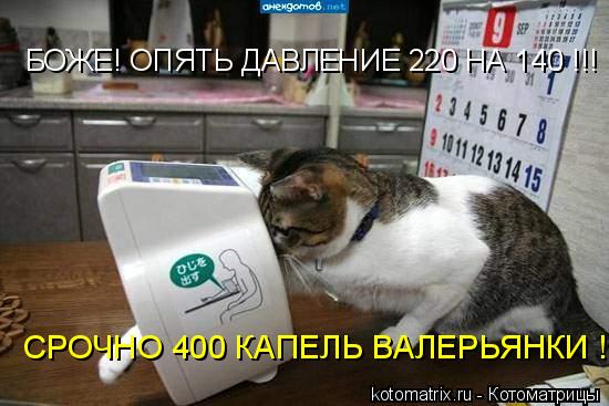 4743317_J (550x367, 41Kb)