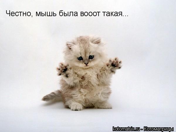 4743317__b (600x450, 22Kb)