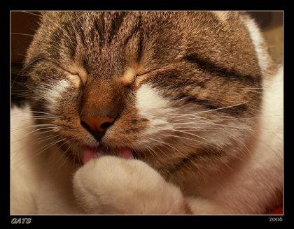 4743317_1141591922_578708 (420x328, 35Kb)