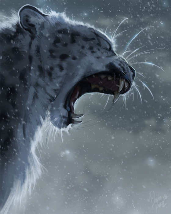 SnowleopardRoar0-5ada06fde3f0a__880 (560x700, 255Kb)