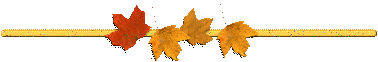 79 (378x62, 5Kb)