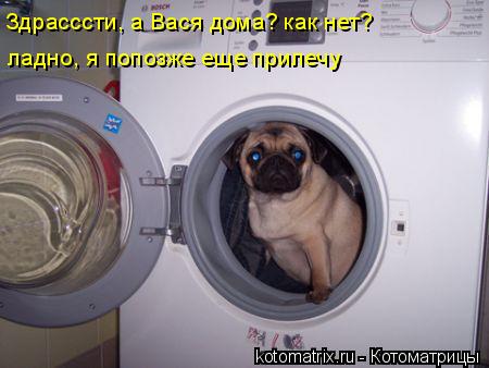 4743317_jf (450x338, 26Kb)
