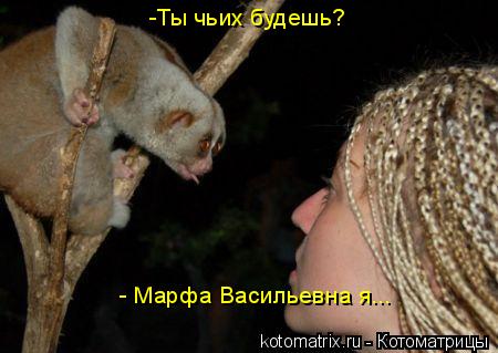 4743317_y6 (450x319, 27Kb)