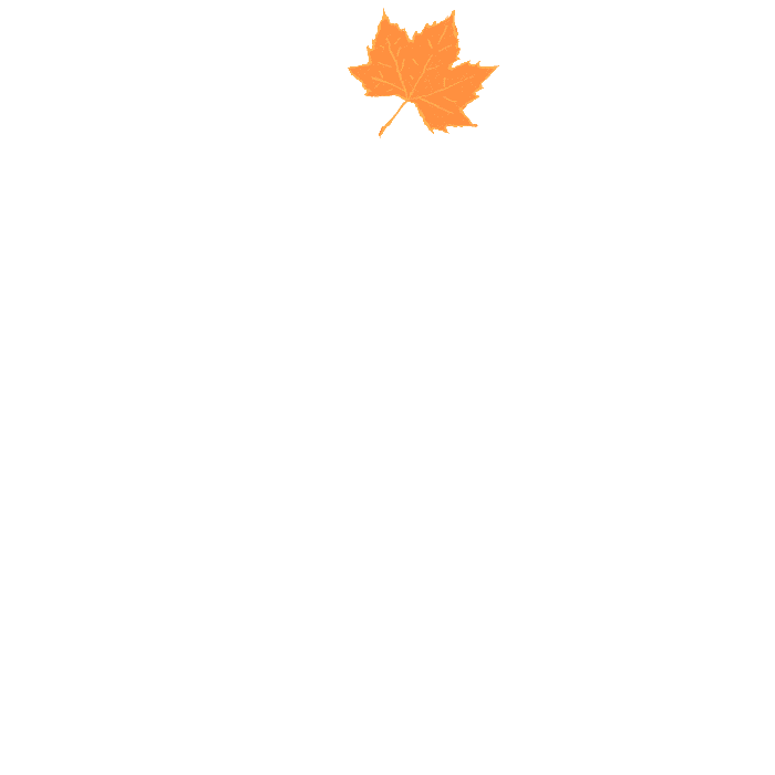 Анимация листья на прозрачном фоне. Анимация листья падают на прозрачном фоне. Осенние листья анимация на прозрачном фоне. Листья гиф на прозрачном фоне. Осенние листья гиф на прозрачном фоне.