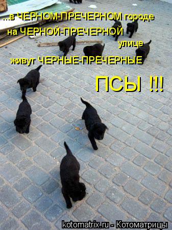 4743317_gx (337x450, 39Kb)