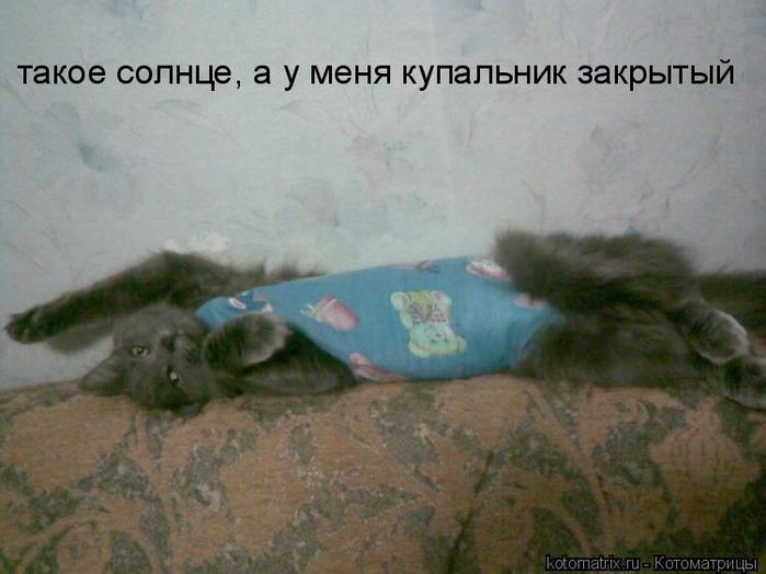 4743317_b8 (700x524, 39Kb)