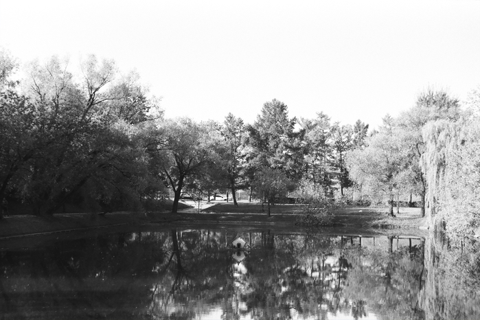 LI202308_3 (700x466, 205Kb)