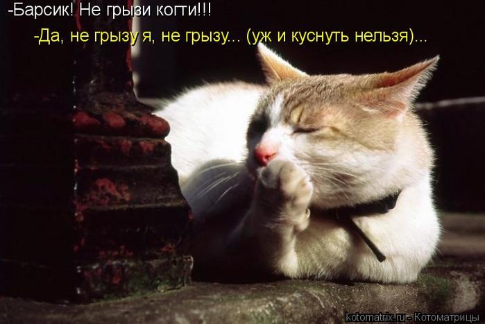 4743317_NO (700x467, 42Kb)