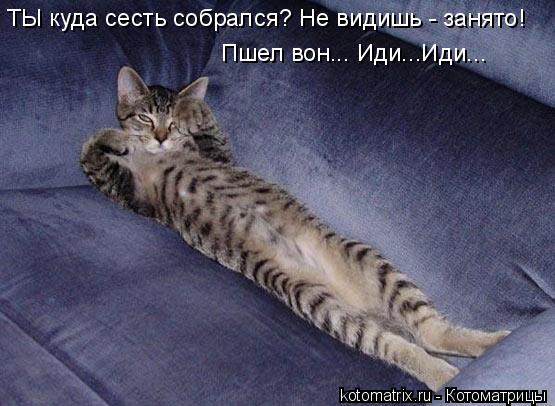 4743317_YT (555x406, 45Kb)