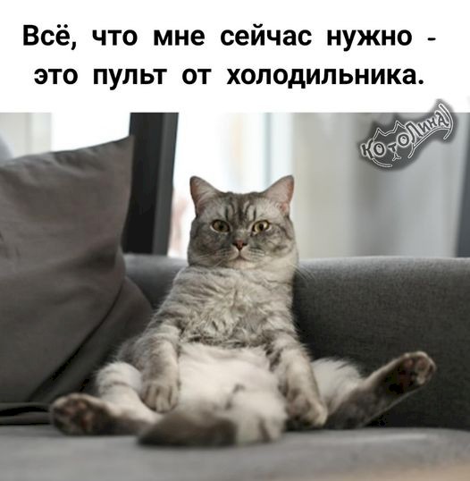 4743317_342f6eec (526x538, 41Kb)