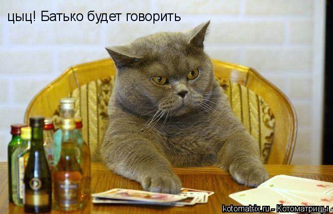 4743317_4p (649x417, 44Kb)