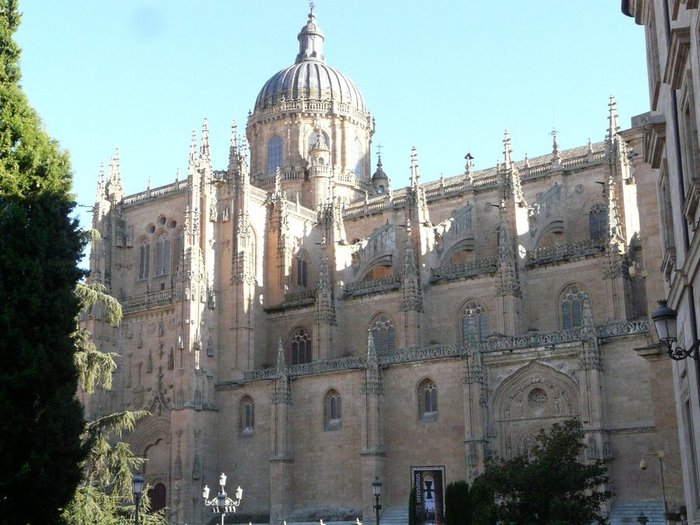 cathedral-nueva (900x725, 86Kb)