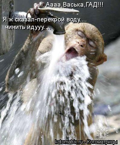 4743317_hq (398x480, 40Kb)